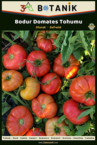 3A BOTANİK Bodur Domates Tohumu, Yerli ve Sürdürülebilir Tohum, 3 Gram Domate...