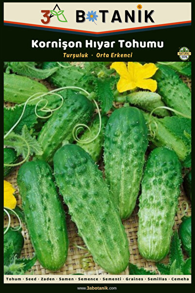 3A BOTANİK Kornişon Hıyar (Salatalık) Tohumu, Yerli ve Sürdürülebilir Tohum, ...
