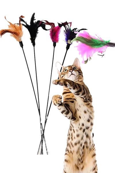 Zeyd Ticaret Colorful Rattle Furry Cat Play Rod Natural Rod Furry Rattle Cat Fishing Rod Cat Toy
