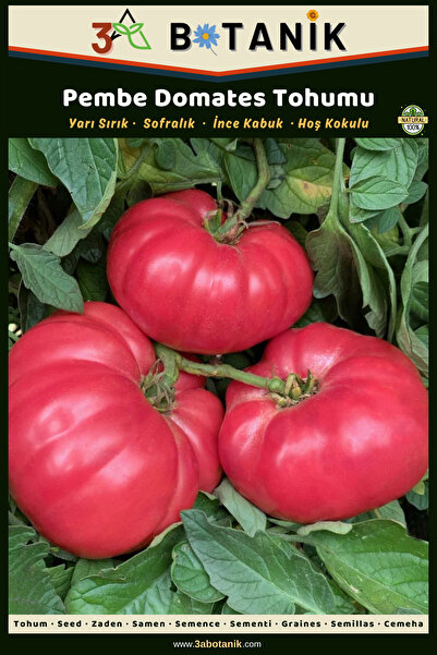 3A BOTANİK Pembe Domates Tohumu, Yerli ve Sürdürülebilir Tohum, 1 Gram Domate...