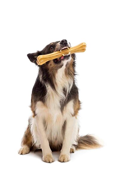 Eva & Wall-e Doğal Köpek Pres Kemiği Naturel 10'lu 21 cm Orta Irk Ve Büyük Irk Köpekler 150 gr