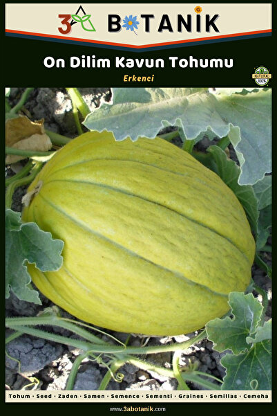 3A BOTANİK On Dilim Kavun Tohumu, Yerli ve Sürdürülebilir Tohum, 5 Gram Kavun...