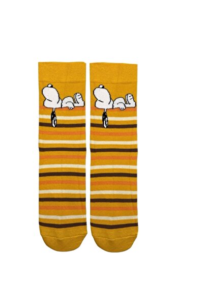 Çorap Kurdu Șosete cu șosete colorate cu model