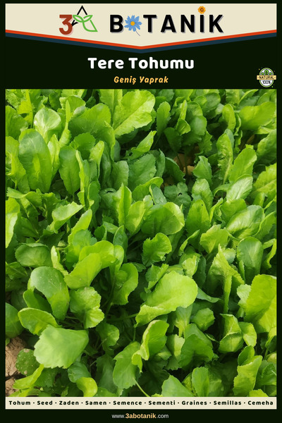 3A BOTANİK Geniş Yaprak Tere Tohumu, Yerli ve Sürdürülebilir Tohum, 5 Gram Te...