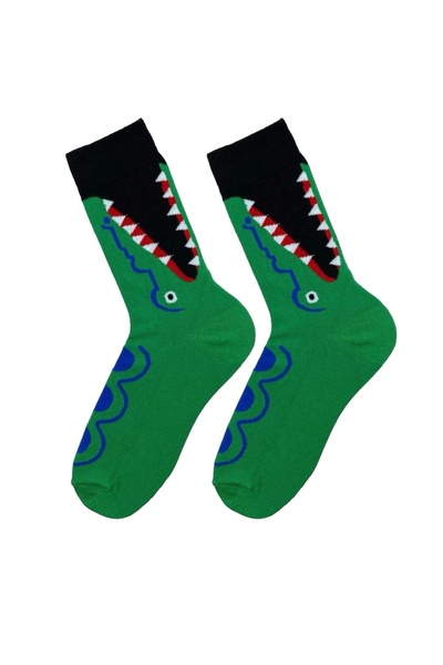 Çorap Kurdu جوارب جورب ملونة ذات طابع منقوش