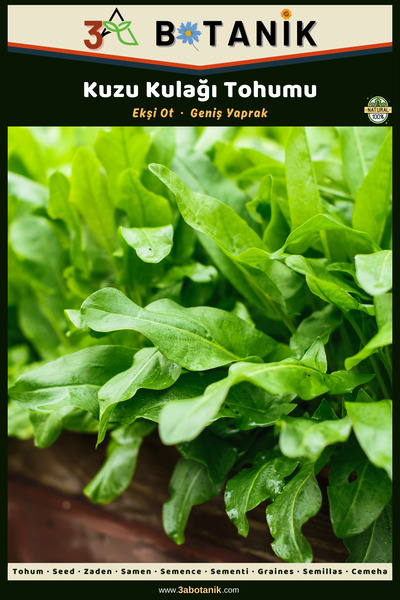3A BOTANİK Kuzu Kulağı/Ekşi Ot Tohumu, Yerli ve Sürdürülebilir Tohum, 3 Gram Kuzu Kulağı Tohumu