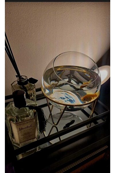 P H Panayır Home Özel Tasarım Cam Fanus, Cam Saksı, Meyvelik, Cam Mumluk, Akv...