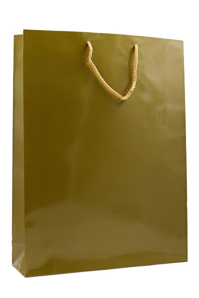 repro design Gold Premium Karton Çanta 35 X 45 X 9 Cm 2 Adet Hediye Poşeti