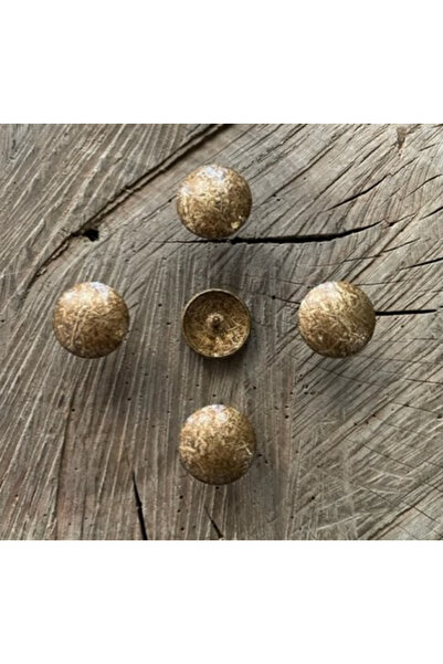 ÇAĞ Çelik 22mm Mat Antik Sarı Kabara Raptiye Koltuk Çivisi 100adet