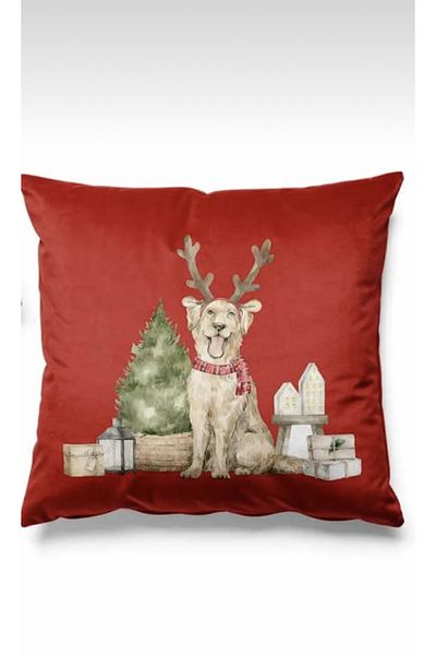 Pilloveland Single Red Alex Patterned Double Sided Printed Suede Throw Pillow Cover on the Background
