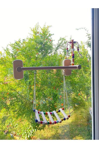 ADAPATİ PET Glass Front 4 Suction Cup Bird Toy