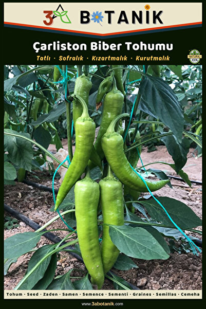 3A BOTANİK Çarliston Biber Tohumu, Yerli ve Sürdürülebilir Tohum, 5 Gram Bibe...