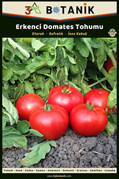 3A BOTANİK Erkenci Domates Tohumu, Yerli ve Sürdürülebilir Tohum, 3 Gram Doma...