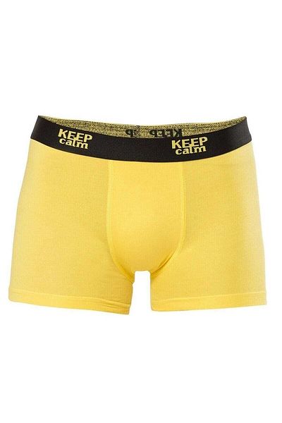 Anıt 6 τεμάχια κίτρινου χρώματος Lycra Modal Boxers