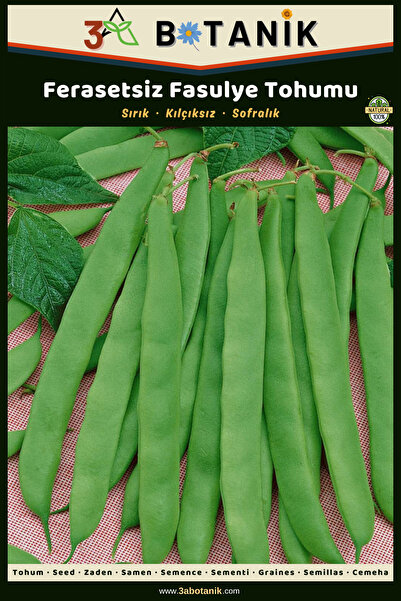 3A BOTANİK Ferasetsiz Sırık Fasulye Tohumu, Yerli ve Sürdürülebilir Tohum, 10...