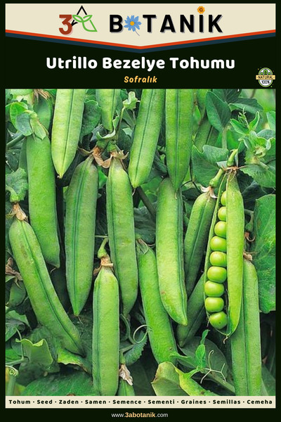 3A BOTANİK Utrillo Bezelye Tohumu, Yerli ve Sürdürülebilir Tohum, 10 Gram Bez...