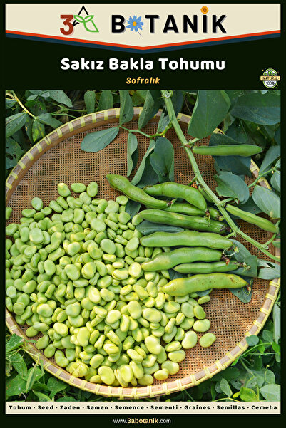 3A BOTANİK Sakız Bakla Tohumu, Yerli ve Sürdürülebilir Tohum, 25 Gram Bakla T...