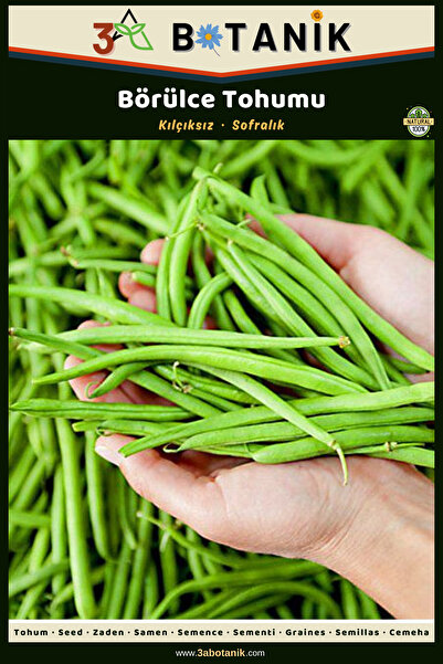 3A BOTANİK Börülce Tohumu, Yerli ve Sürdürülebilir Tohum, 10 Gram Börülce Tohumu