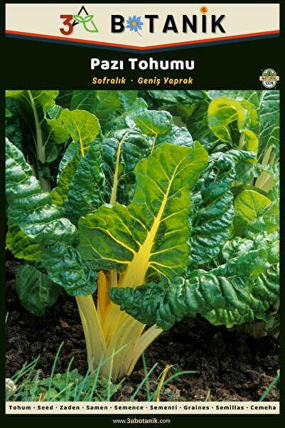 3A BOTANİK Pazı Tohumu, Yerli ve Sürdürülebilir Tohum, 10 Gram Pazı Tohumu