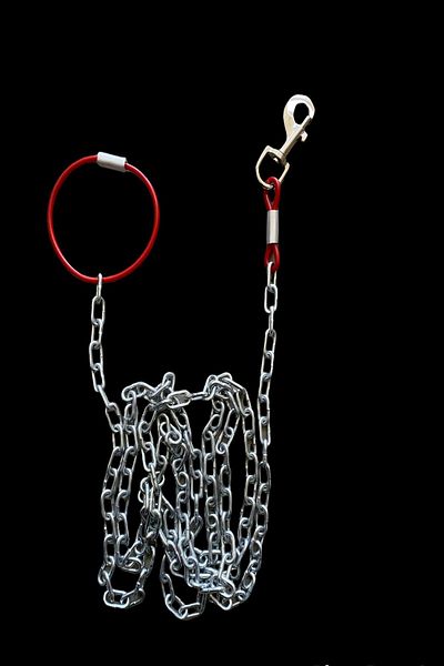 LİDERSAN ÇELİK Idersan Steel 1 Meter Dog Tethering Chain with Swivel