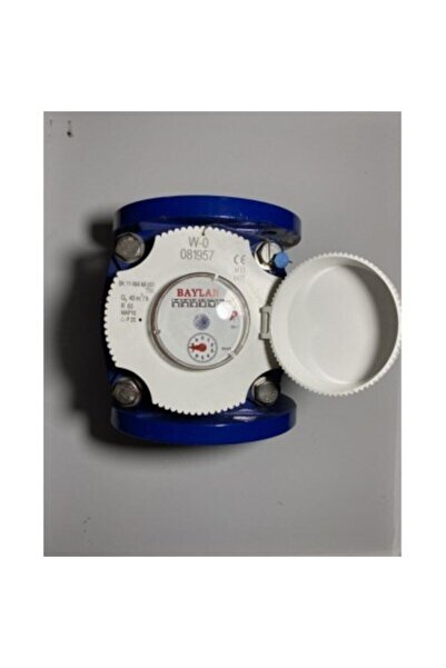 Baylan Rekorlu Tarımsal Su Sayacı 2 1/2"