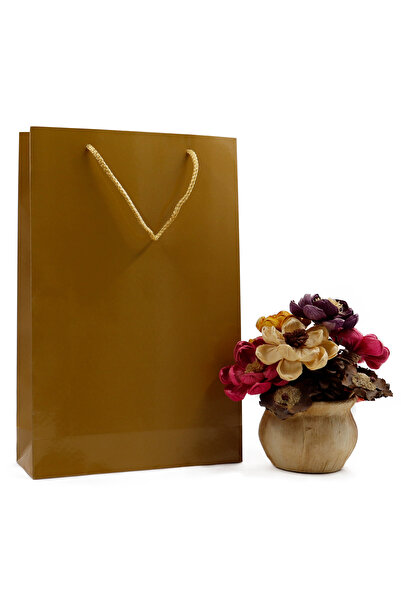 repro design Gold Premium Karton Çanta 25 x 38 x 8 cm 1 Adet Hediye Poşeti