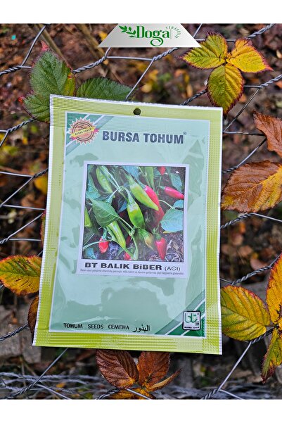 DOĞA FİDANCILIK Acı Balık Süs Biberi Tohumu