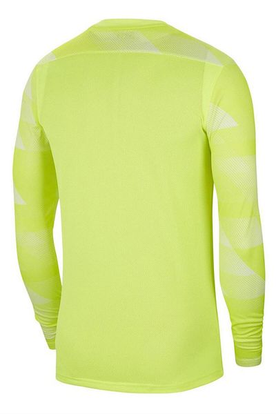 Nike Dri-fit Park Iv Goalkeeper Children's Goalkeeper Jersey Cj6072-702