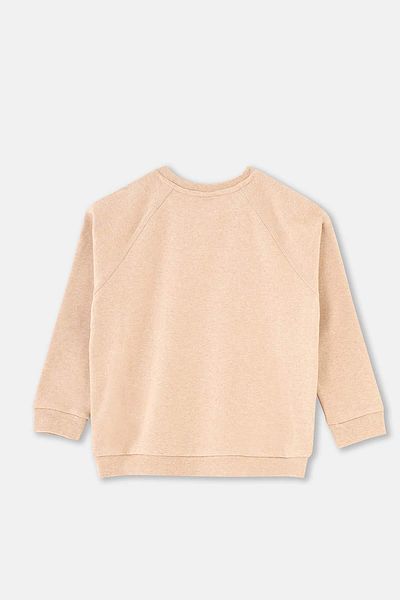 Dagi Καφέ φούτερ με ραβδώσεις με λεπτομέρεια Crew Neck