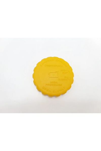 İthal Opel Radyatör Yedek Su Deposu Kapağı Astra F, G, Vectra A, B, Corsa B, C Için