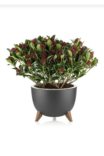 Leva House Alya Ayaklı Saksı 2 No , 5 LT