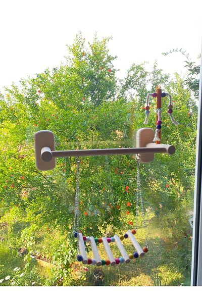 ADAPATİ PET Glass Front 4 Suction Cup Bird Toy