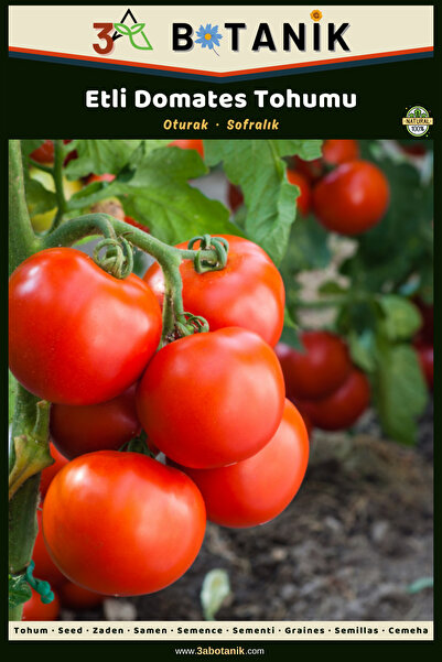 3A BOTANİK Etli Domates Tohumu, Yerli ve Sürdürülebilir Tohum, 3 Gram Domates...