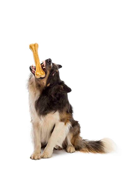 Eva & Wall-e Doğal Köpek Pres Kemiği Naturel 10'lu 21 cm Orta Irk Ve Büyük Irk Köpekler 150 gr