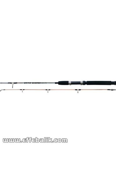 EFFE Capri 1.80 m 2 Parça Silikon Dolgu 75-150 Gr Atarlı Olta Kamışı
