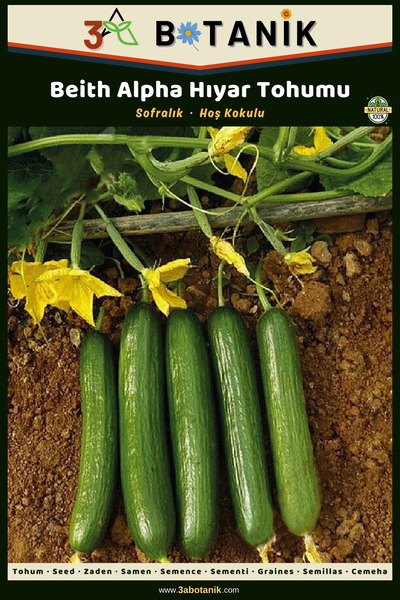 3A BOTANİK Beith Alpha Hıyar (Salatalık) Tohumu, Yerli ve Sürdürülebilir Tohu...