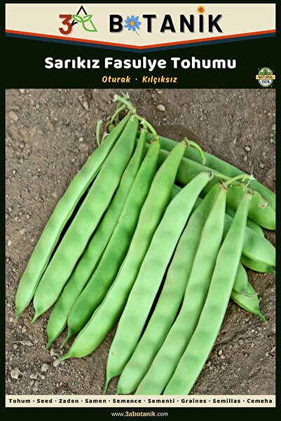 3A BOTANİK Sarıkız Oturak Fasulye Tohumu, Yerli ve Sürdürülebilir Tohum, 10 G...