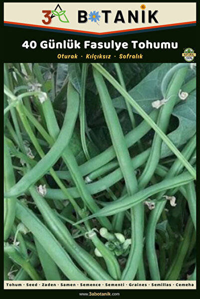 3A BOTANİK 40 Günlük Oturak Fasulye Tohumu, Yerli ve Sürdürülebilir Tohum, 10...