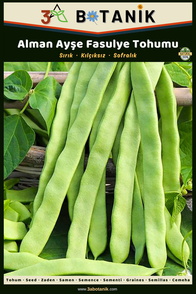 3A BOTANİK Alman Ayşe Sırık Fasulye Tohumu, Yerli ve Sürdürülebilir Tohum, 10...