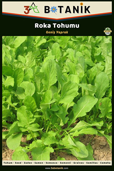 3A BOTANİK Geniş Yaprak Roka Tohumu, Yerli ve Sürdürülebilir Tohum, 5 Gram Ro...