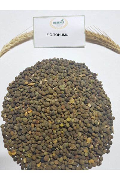 Bereketlimama Fiğ Tohumu(YERLİ - İLAÇSIZ)- 5 Kg