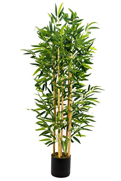 YAPAY ÇİÇEKÇİNİZ 5 Gövdeli Yoğun Yapraklı 120 Cm Yapay Bambu Ağacı