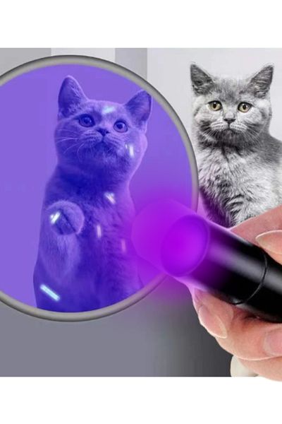 Guassi ultraviolet cat dog mushroom urine showing uv light large size flashlight