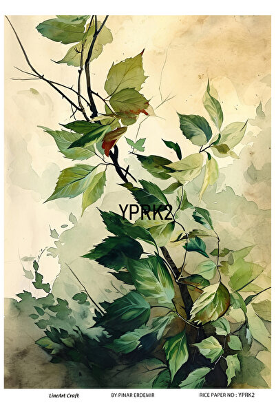 LİNEART Yaprak Serisi YPRK2 Desenli Pirinç Dekopaj 30x42