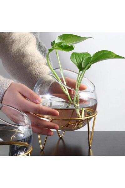 P H Panayır Home Özel Tasarım Cam Fanus, Cam Saksı, Meyvelik, Cam Mumluk, Akv...