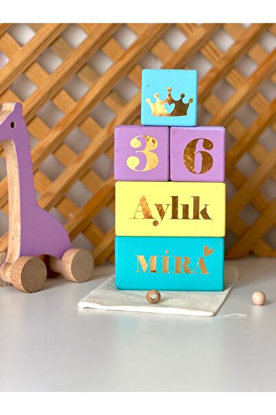 mogokids Renkli anne bebek anı küpü ve bebek saç fırçası seti
