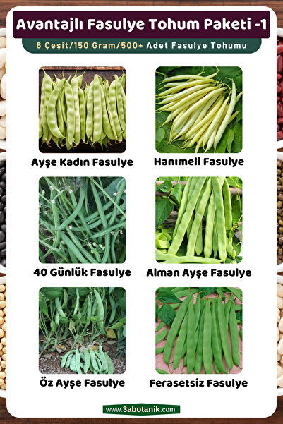 3A BOTANİK Avantajlı Fasulye Tohum Paketi-1, Toplam 6 Çeşit/150 Gram/takribi 500 Adet Fasulye Tohumu