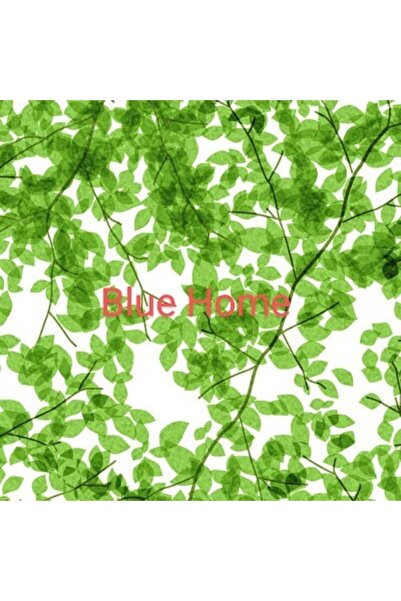 Blue Home Statik Cam Folyosu Filmi Meiwa Japon Teknolojisi Vitray 4dsx/ Ebat: 46 Cm X 1 Mt-yaprak3