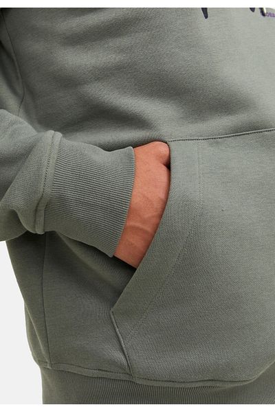 Jack & Jones Hoodie Dust Kapuzensweatshirt