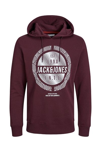 Jack & Jones Hoodie Stein Kapuzensweatshirt